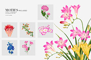 Vibrant Seamless Floral Patterns, a Pattern Graphic by LEAFure (Thumbnail 8 of 10)
