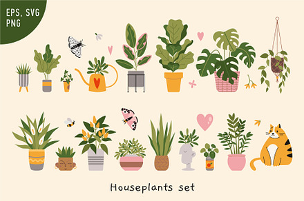Houseplants, cat and butterflies