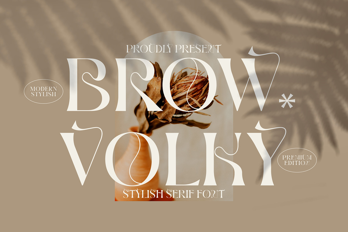 BROW VOLKY Stylish Serif Font, a Serif Font by Storytype Studio (Photo 1 of 10)
