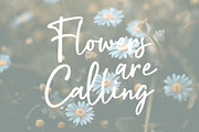 Magical Bright | Natural Signature, a Handwritten Font by ManType (Thumbnail 4 of 7)