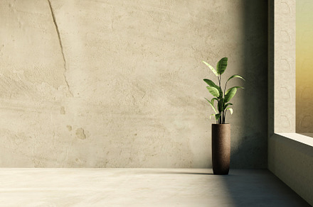 Minimalist empty room with concrete wall and floor and indoor green plants. 3d, a Wallpaper Photo by RF Images