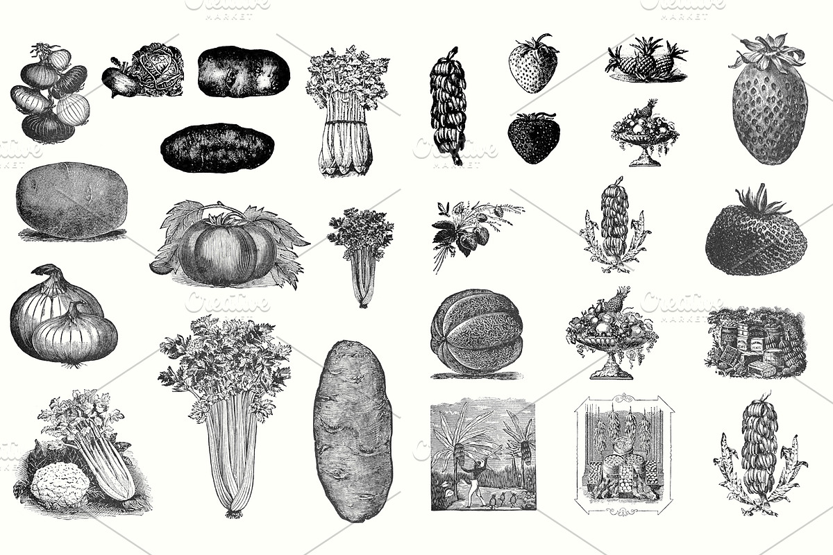 Electrotype Stock Cuts, an Animal Illustration by Blue Line Design (Photo 5 of 19)