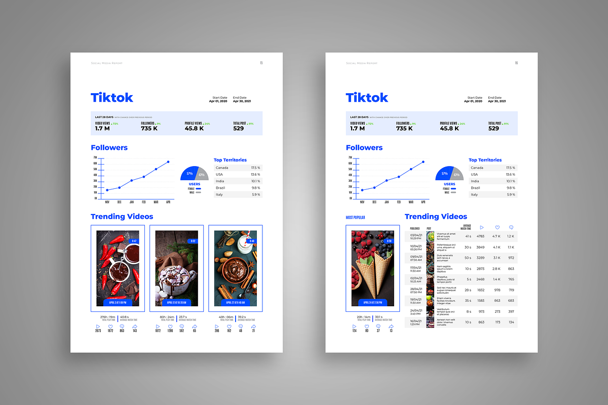 Social Media Report Template, a Brochure Template by StockInDesign (Photo 9 of 11)
