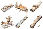 Driftwood & Coastal Decor Clipart, an Illustration by Pixels.Craft (Thumbnail 8 of 8)