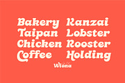 Wiona – Cute Chubby Font, a Sans Serif Font by Salamahtype (Thumbnail 5 of 8)