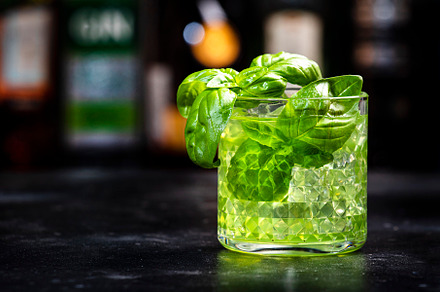 Basil smash alcoholic cocktail drink with dry gin, syrup, lemon,, a Food & Drink Photo by 5PH