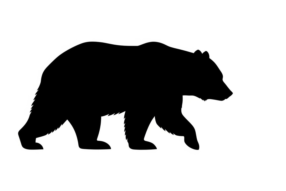 Nature Wildlife Bear Silhouette Bund, an Illustration by Designs_River (Photo 9 of 51)
