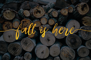 Sweethart Script + Vectors, a Script Font by Flycatcher Design (Thumbnail 4 of 6)