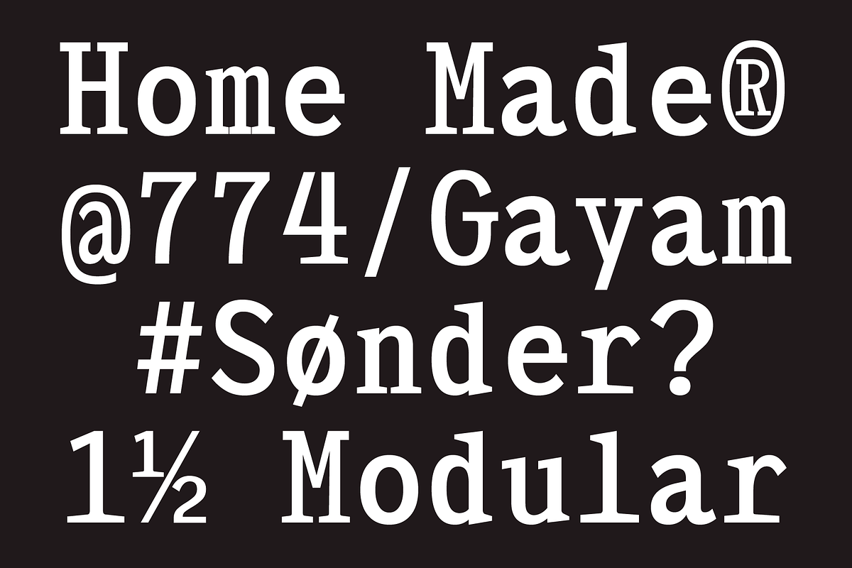 403 Felgrit, a Slab Serif Font by 403 Type Foundry (Photo 2 of 15)