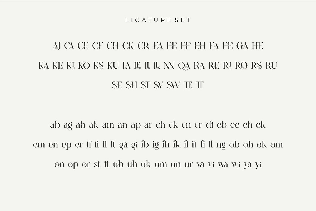 Cerost Modern Ligature Typeface, a Serif Font by Dylla_studio (Photo 14 of 14)