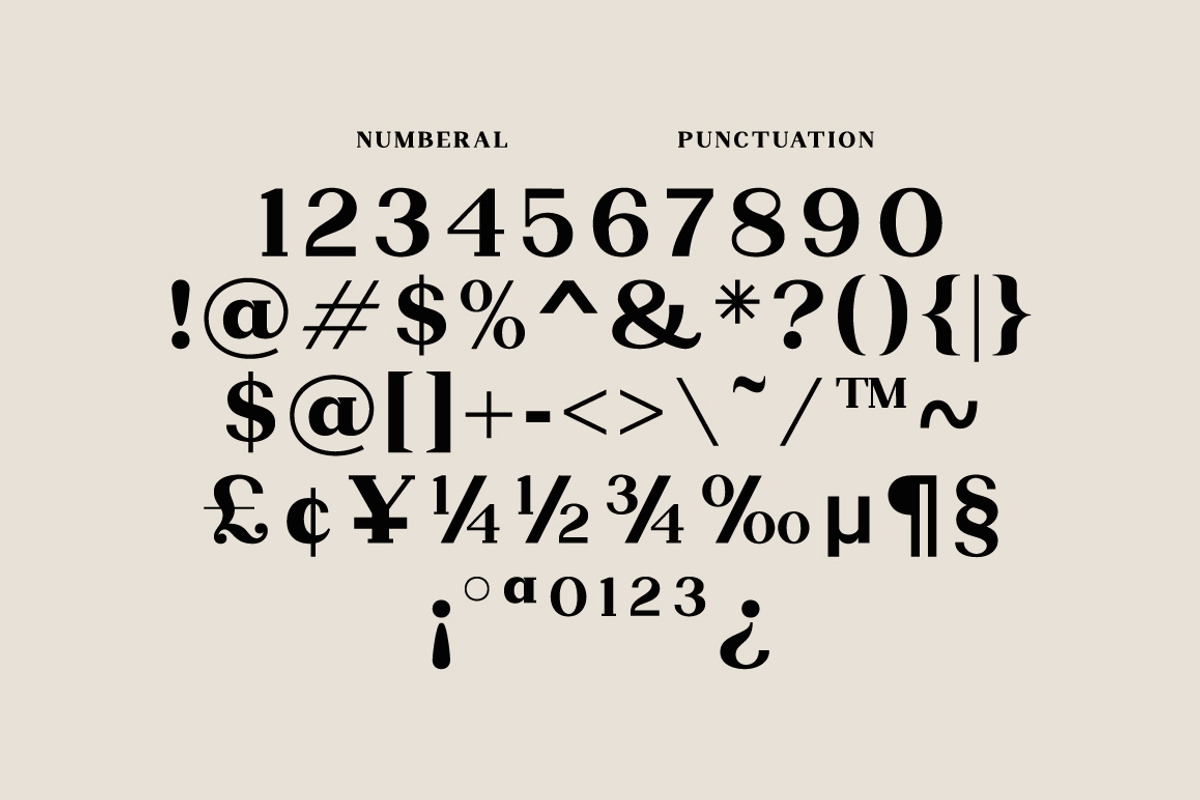 Nophine, a Serif Font by Mantype Studio (Photo 7 of 14)
