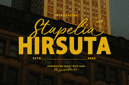 MCO - Stapelia Hirsuta, a Handwritten Font by Mojiscope Studio