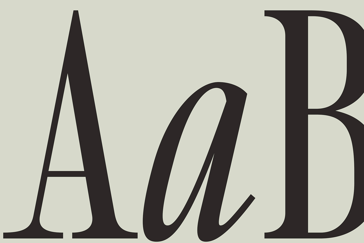 Sailing Club | Nostalgic Serif, a Serif Font by Jen Wagner Co (Photo 12 of 22)