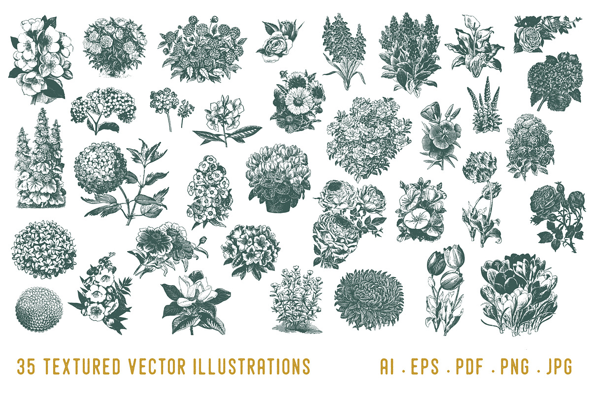 VINTAGE FLORALS | 35 Vectors, an Illustration by Britt & Kit (Photo 2 of 2)