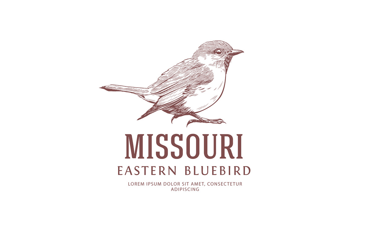 Bird Vintage Logo. Eastern Bluebird, a Branding & Logo Template by vatesdesign