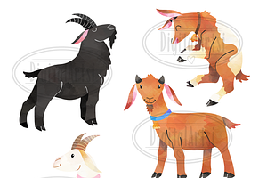 Watercolor Goats Clipart