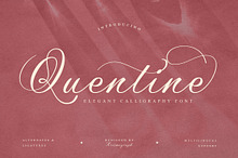 Quentine – Elegant Calligraphy Font