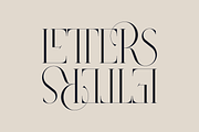 SALE! Type Master - serif font, a Serif Font by VP Fonts (Thumbnail 17 of 24)