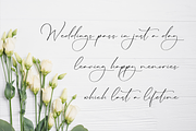 Lillywhite A Beautiful Script Font, a Script Font by Storytype Studio (Thumbnail 11 of 15)