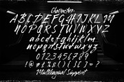 Honuzima - Handbrush Script Font, a Script Font by StringLabs (Thumbnail 10 of 11)