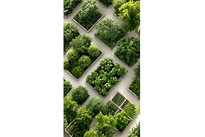 Lush green geometric garden with, a Nature Photo by Lermont51