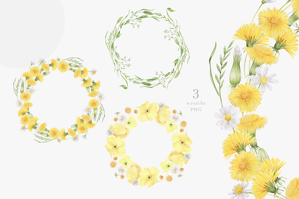 Wildflowers, poppies and herbs, a Food Illustration by astelenadesign (Photo 12 of 19)