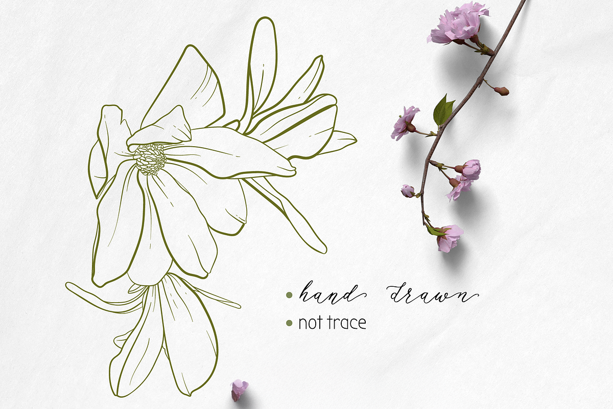 Magnolia Floral Design Pack, a Texture Illustration by JuDesign (Photo 4 of 16)
