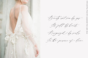 Dostoevsky // Fine Art Font SALE!!!, a Script Font by PeachCreme (Thumbnail 10 of 14)