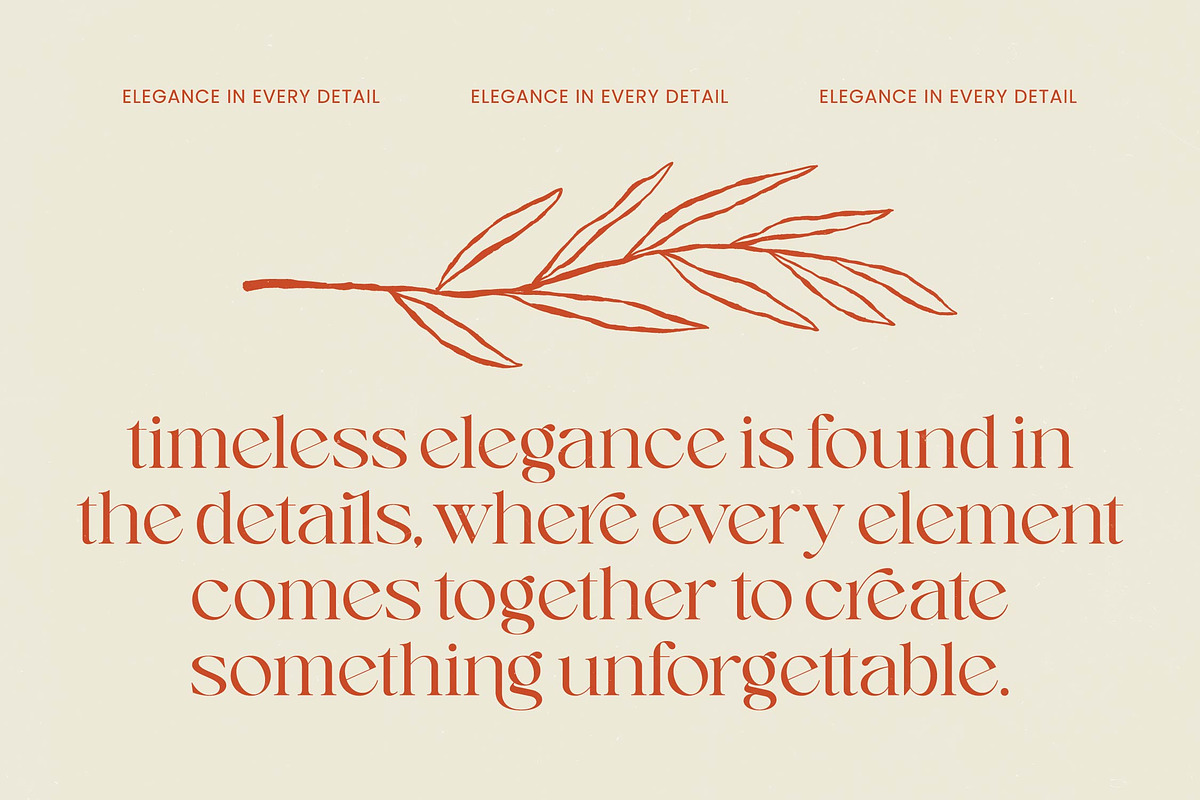 Enikra Elegant Modern Serif, a Serif Font by timelesstype.co (Photo 14 of 20)