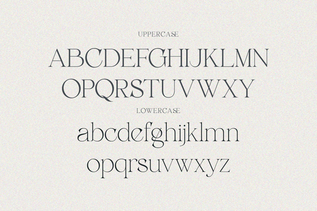 Belarose - Modern Elegant Serif, a Serif Font by Qweera Studio (Photo 11 of 12)