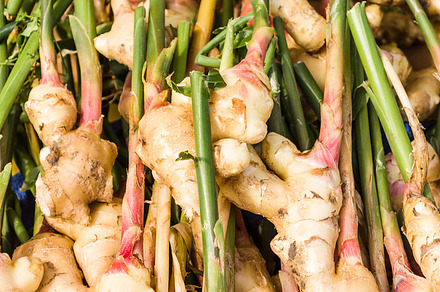 White Garlic Cloves On Display preview 5