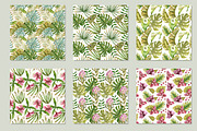 Watercolor Tropical Leaves & Flowers, an Illustration by babenkoirusa (Thumbnail 9 of 17)