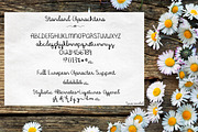 Happy Daisy Handwritten Script Font, a Script Font by Ash Avenue Designs (Thumbnail 6 of 7)