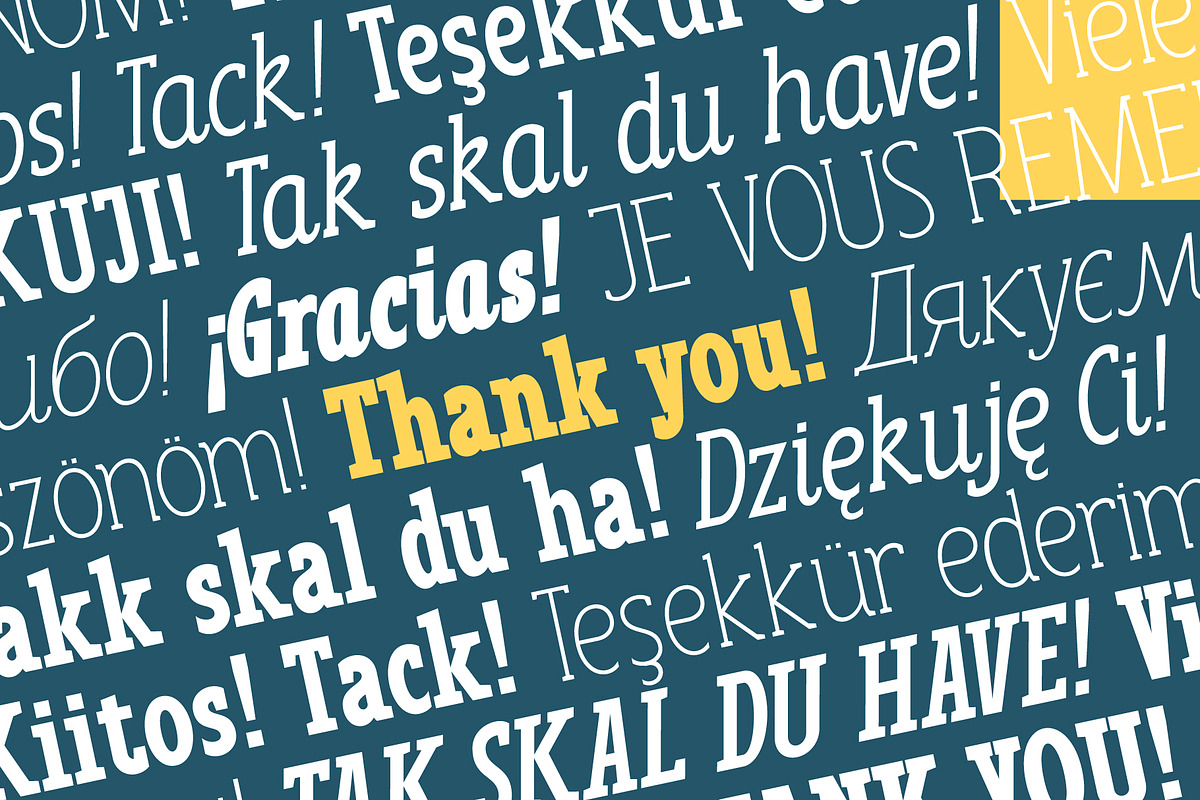 Anicon Slab, a Slab Serif Font by NREY (Photo 9 of 9)