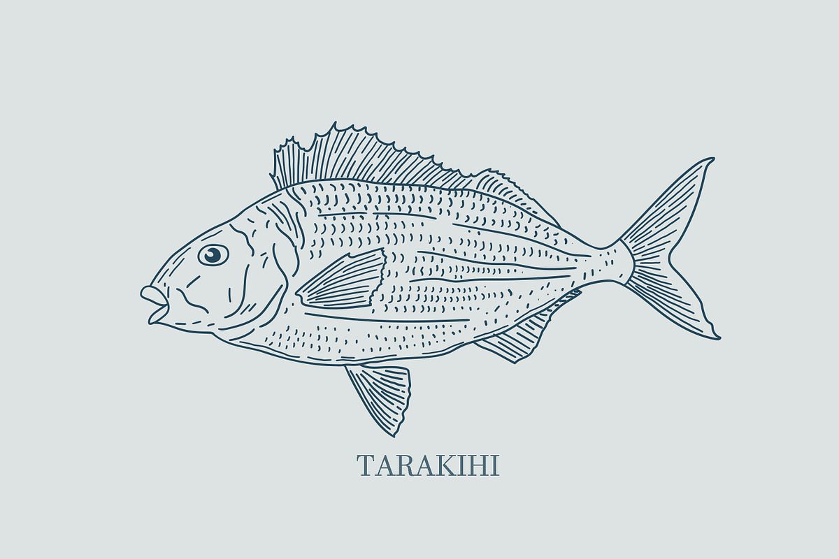 Hand drawn vectors of saltwater fish, an Animal Illustration by Naty Art (Photo 4 of 11)