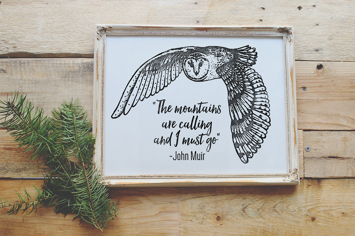 Northern Wilderness Collection: Owls, an Animal Illustration by Barn Owl Studio (Photo 2 of 5)