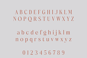 Listar – A Modern Serif, a Serif Font by Creative Foundry (Thumbnail 6 of 8)