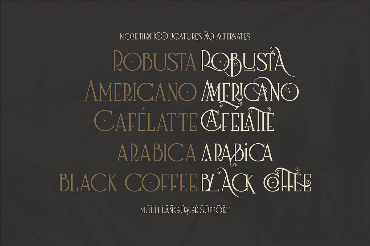 Nagara Typeface (Roman & Script) preview 3