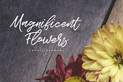 Spectrum, a Script Font by Get Studio (Thumbnail 7 of 9)