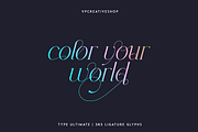 Type Ultimate - serif logo font, a Serif Font by VP Fonts (Thumbnail 3 of 24)