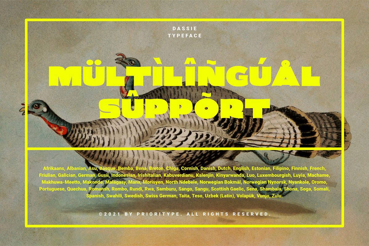 Dassie - Expanded Display Fonts, a Sans Serif Font by Prioritype Co