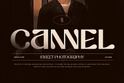 Fastue - Modern Luxury Logo Font, a Serif Font by Sensatype (Thumbnail 6 of 12)