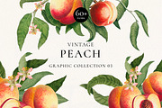 Vintage Peach Graphic Collection #03, an Object Graphic by Olga Begak Art & Design (Thumbnail 1 of 8)