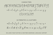 Sierra Gorge Script, a Script Font by Beck McCormick (Thumbnail 10 of 10)