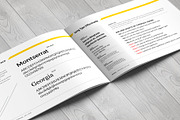 Brand Manual 30 Pages A4 / US Letter, a Brochure Template by Mastergfx (Thumbnail 16 of 32)