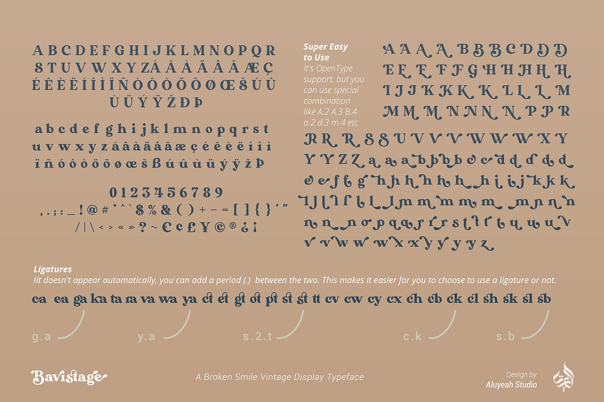 Bavistage, a Serif Font by Aluyeah Studio (Photo 15 of 15)