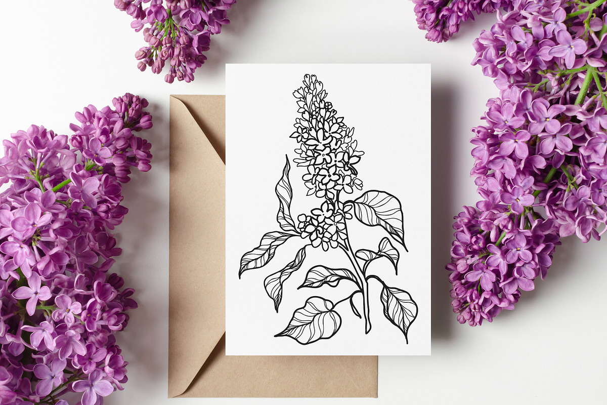 Lilac Flowers Line Art SVG, an Object Graphic by Dervik Art Store (Photo 2 of 7)