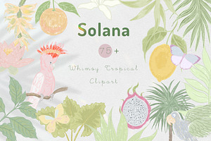 Solana tropical whimsy clipart