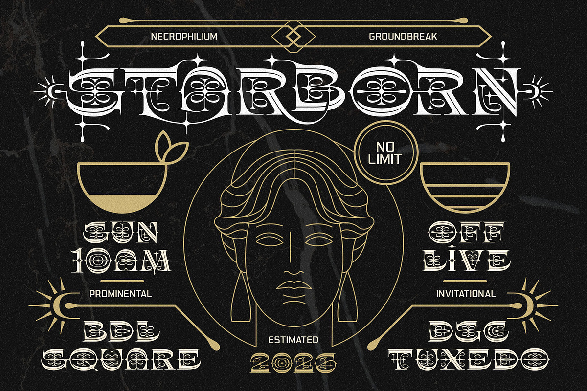 Shinery Loud Typeface, a Serif Font by alit design (Photo 4 of 20)