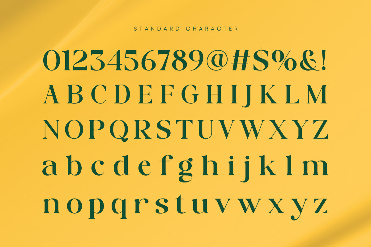 Pagio - Modern Luxury Serif Font, a Serif Font by Muflieart (Photo 2 of 8)